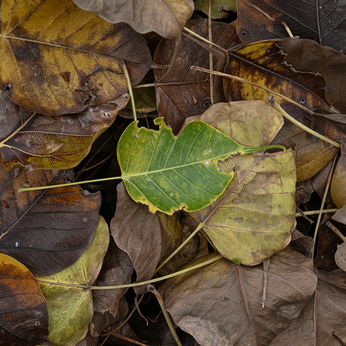 Photo #14107927