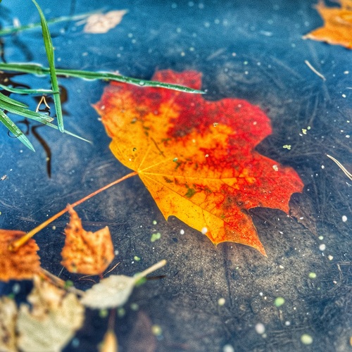 Photo #14107960