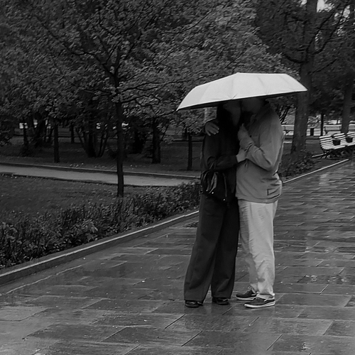 Photo #14108032
