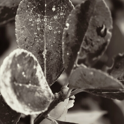 Photo #14108043