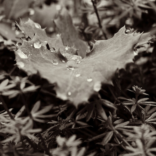 Photo #14108044