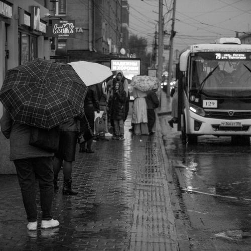 Photo #14108048