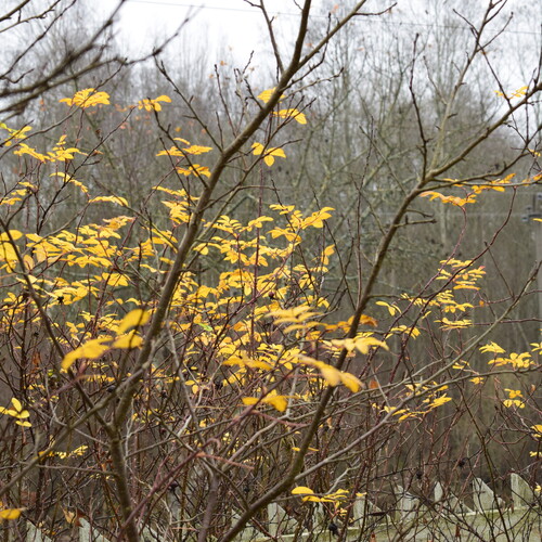 Photo #14108088