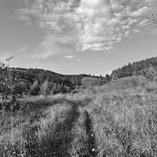 Photo #14108180