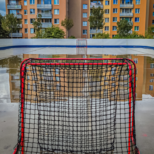 Photo #14108184