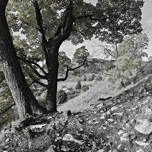 Photo #14108188