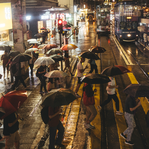 Photo #14108204