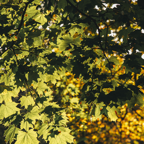 Photo #14108221