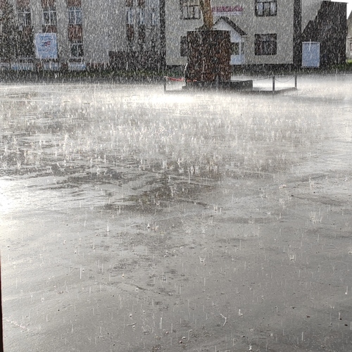 Photo #14108252