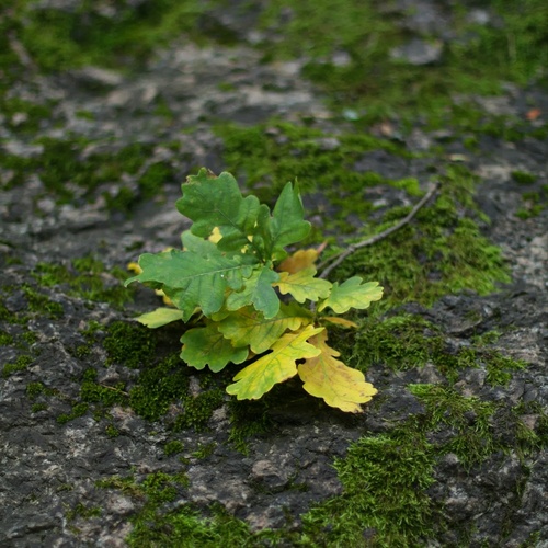 Photo #14108253