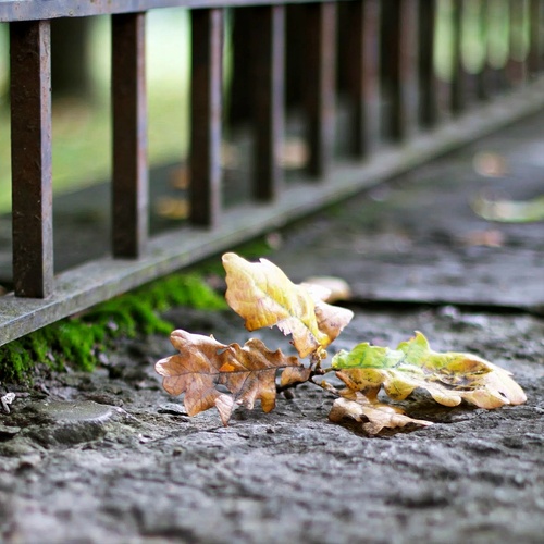 Photo #14108255