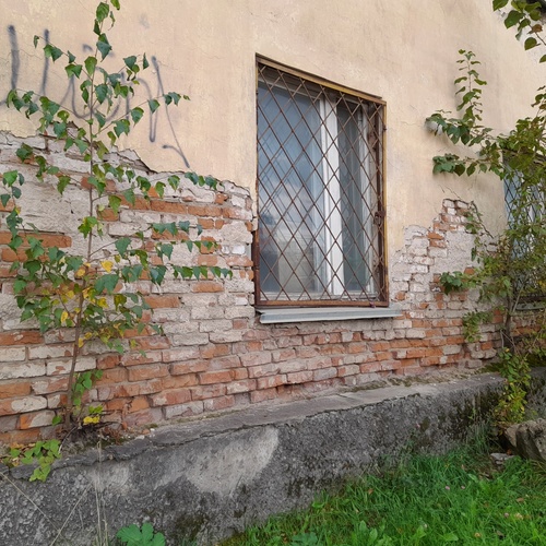 Photo #14108263
