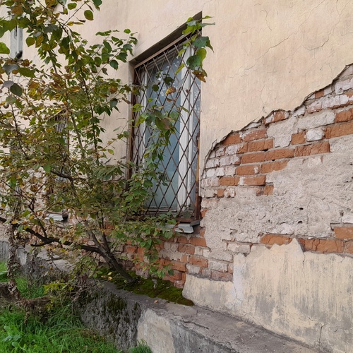Photo #14108264