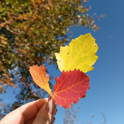Photo #14108330