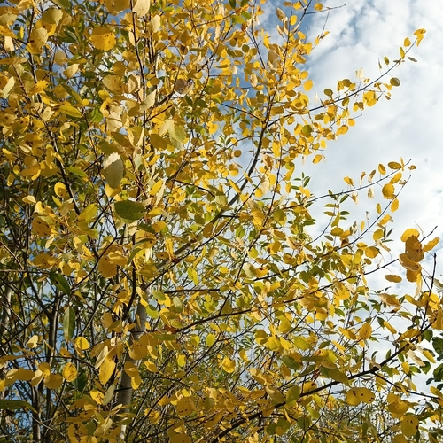 Photo #14108332