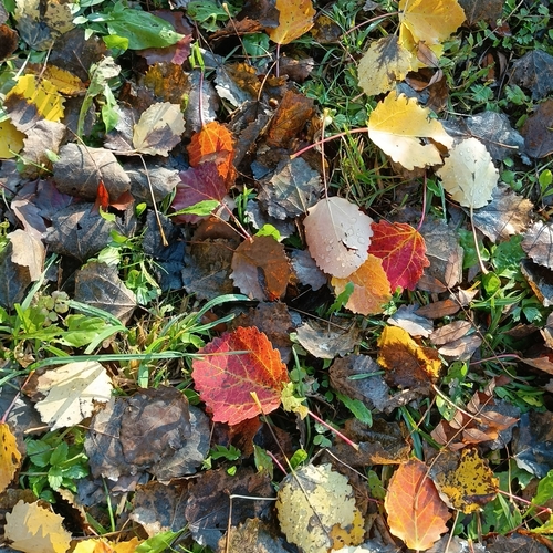 Photo #14108335