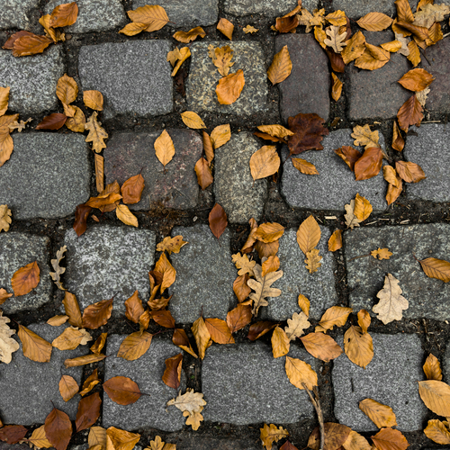 Photo #14108412