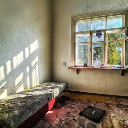 Photo #14108417