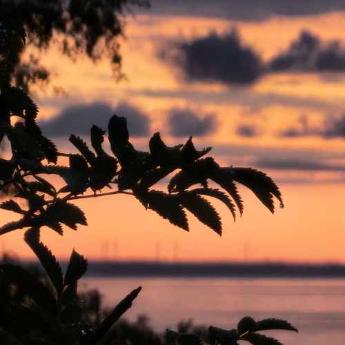 Photo #14108439