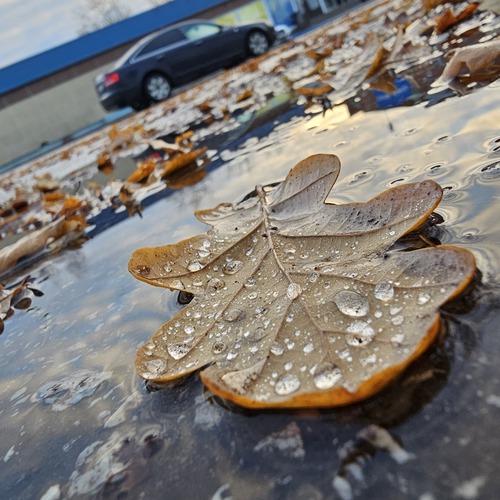 Photo #14108440