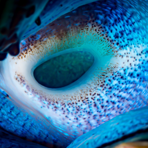 Photo #14108453