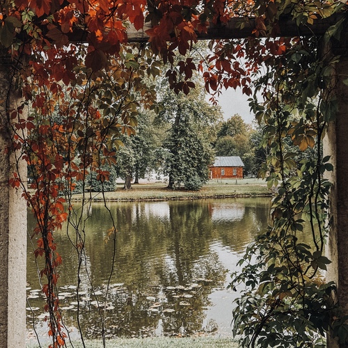 Photo #14108514