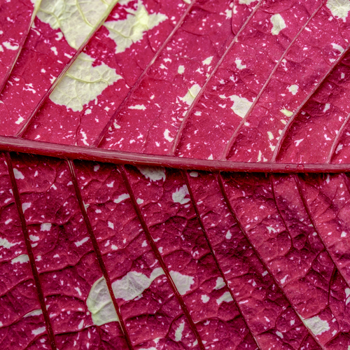 Photo #14108551
