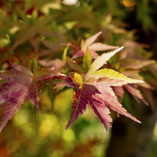 Photo #14108580
