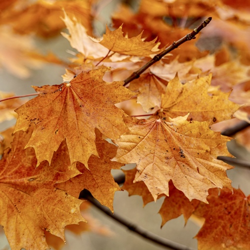 Photo #14108587