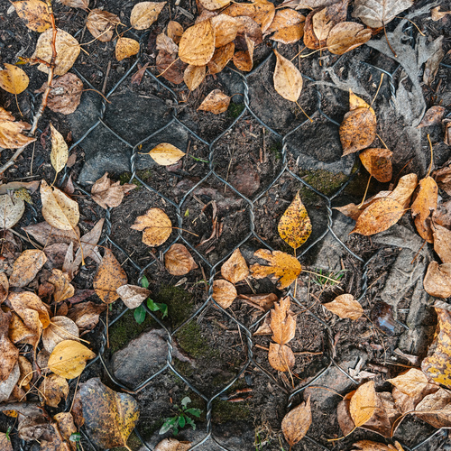 Photo #14108636