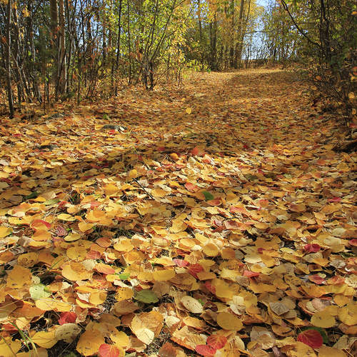 Photo #14108742