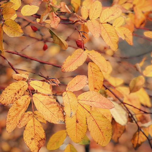 Photo #14108913