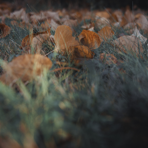 Photo #14108933