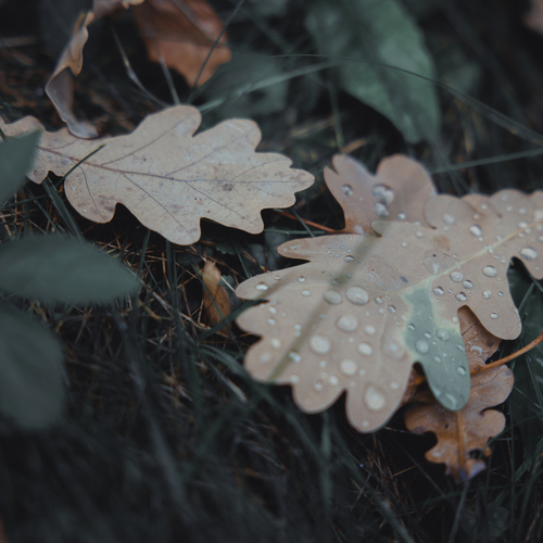 Photo #14108936