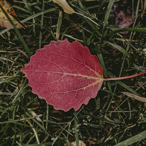 Photo #14108959