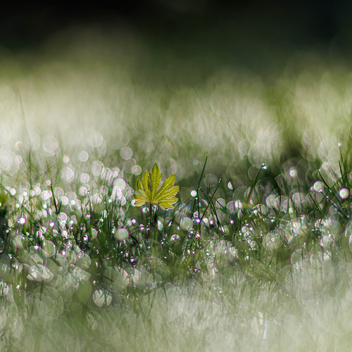 Photo #14108982
