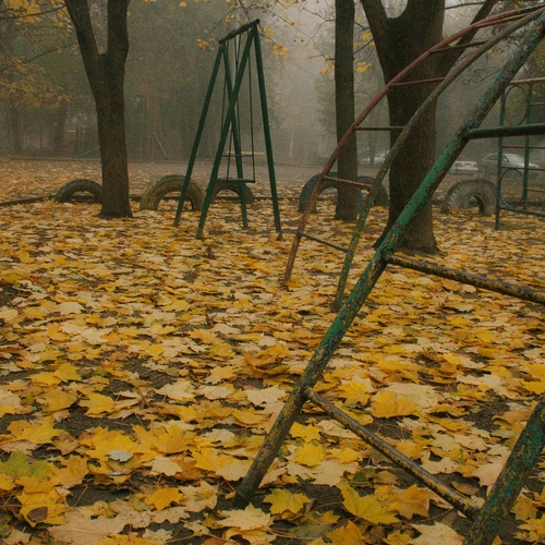 Photo #14109028