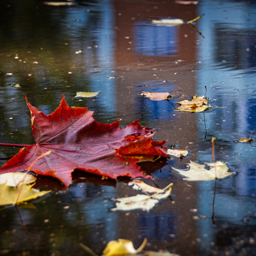 Photo #14109043