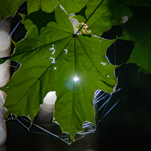 Photo #14109058