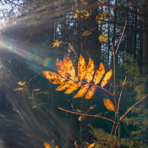Photo #14109107