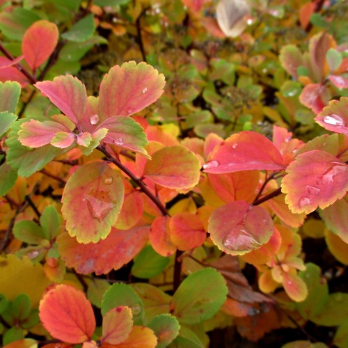 Photo #14109122