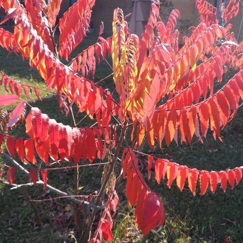 Photo #14109129