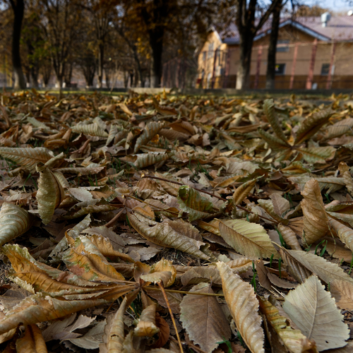 Photo #14109151