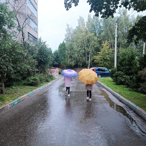Photo #14109174