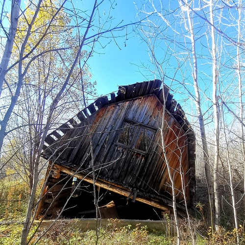 Photo #14109177