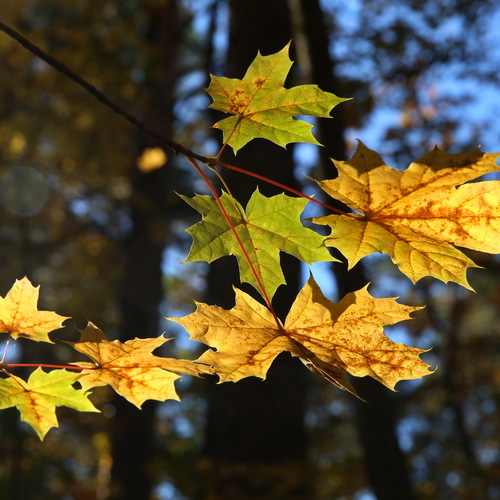 Photo #14109291