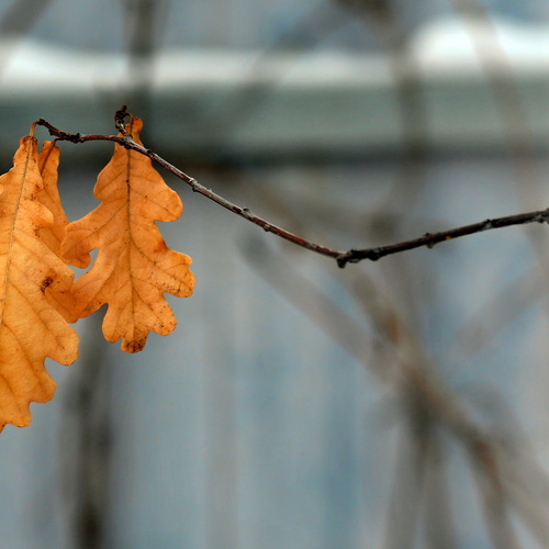 Photo #14109293