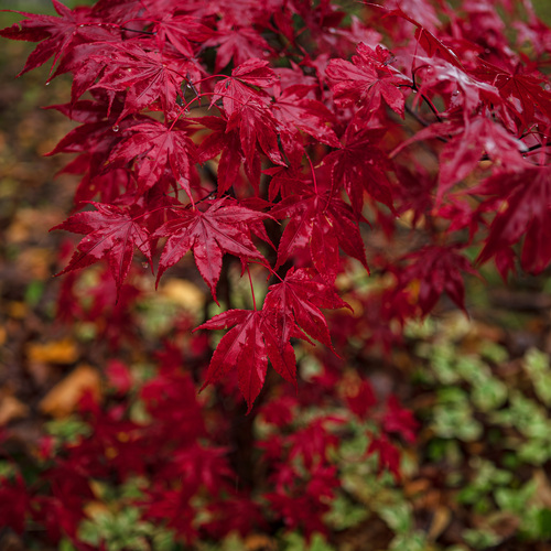 Photo #14109355
