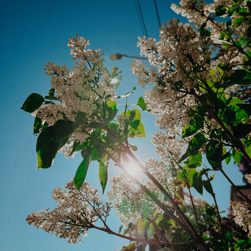 Фотография #14109364