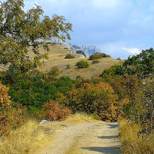 Яркие краски крымской осени